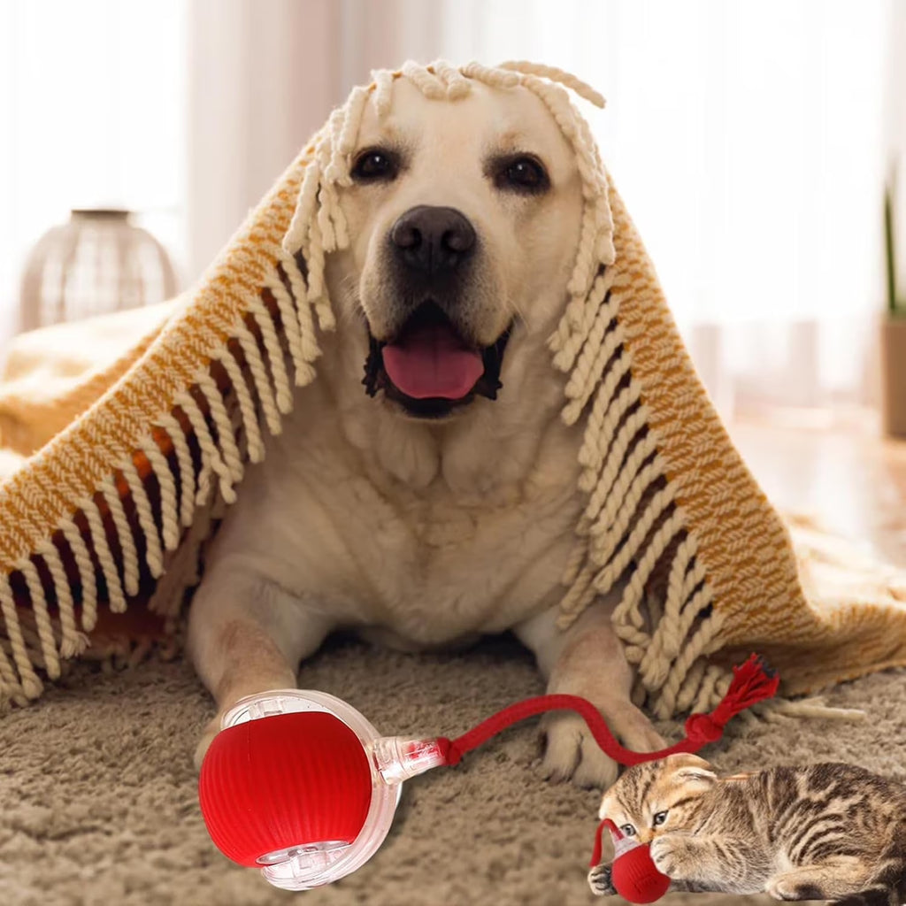 Celery Pets Cat Toy Ball, Celery Pets, Speedy Tail 2.0, Smart Interactive Cat Toy Ball, Cat Toy Speedy Tail 2.0, Automatic Interactive Dog Toy Moving Ball (Red+Grey)