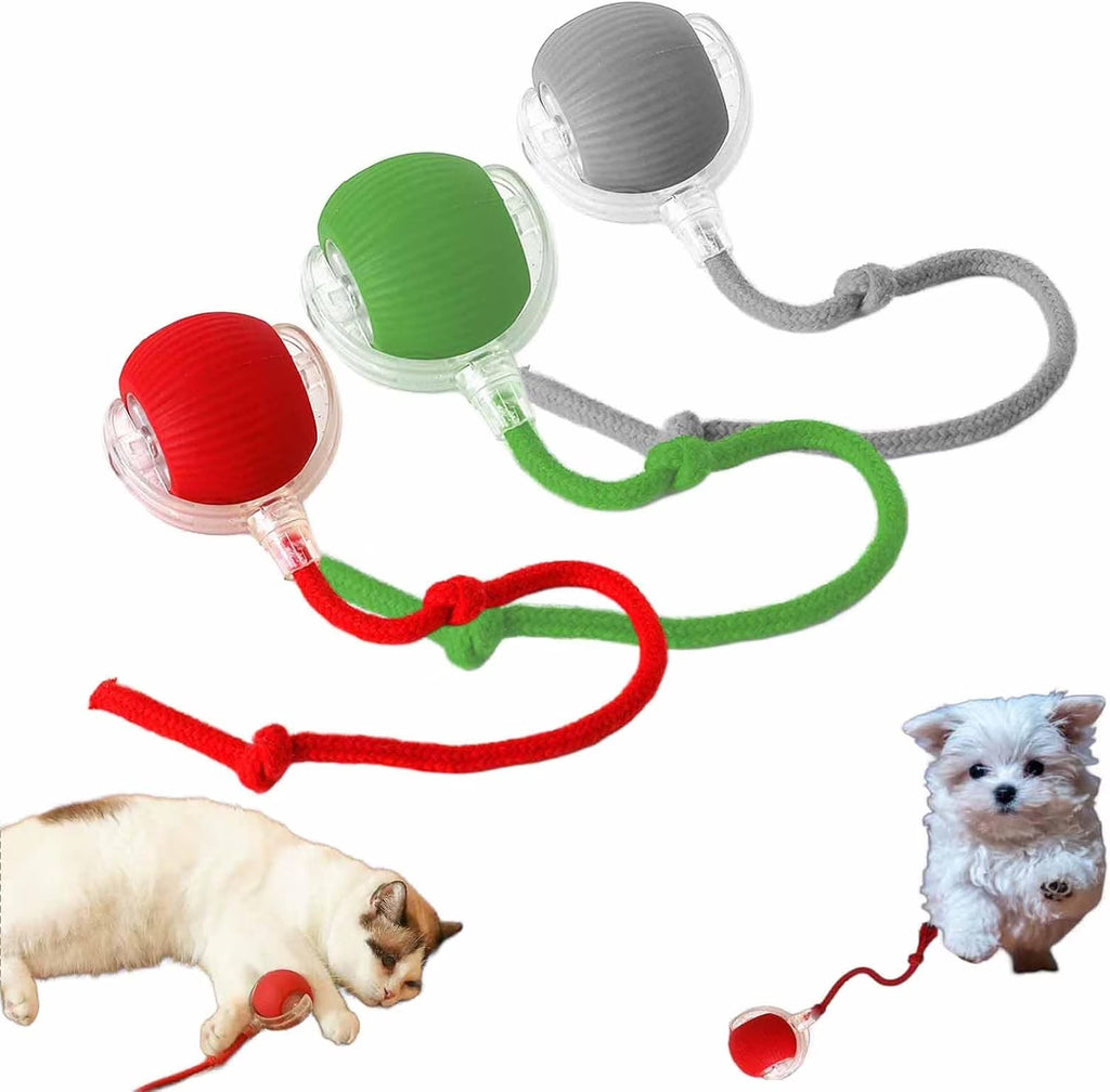Celery Pets Cat Toy Ball, Celery Pets, Speedy Tail 2.0, Smart Interactive Cat Toy Ball, Cat Toy Speedy Tail 2.0, Automatic Interactive Dog Toy Moving Ball (Red+Grey)